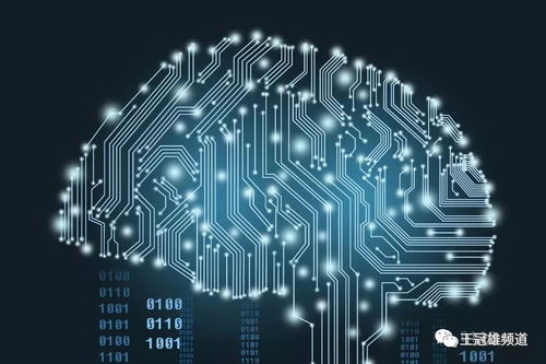 貝貝網(wǎng)的場景革命 創(chuàng)新升級如何重塑網(wǎng)絡(luò)消費生態(tài)